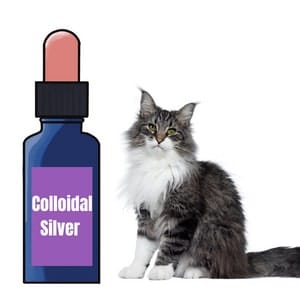 How much Colloidal silver for cats