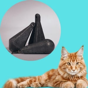 lead toxicity in cats