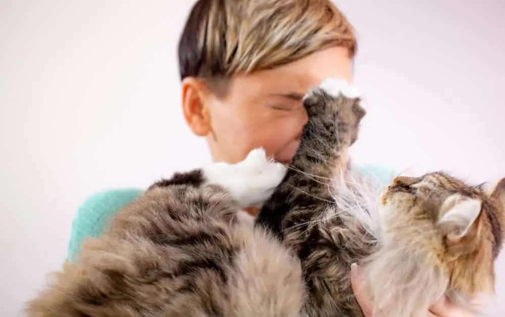 Do cats know when you are crying?