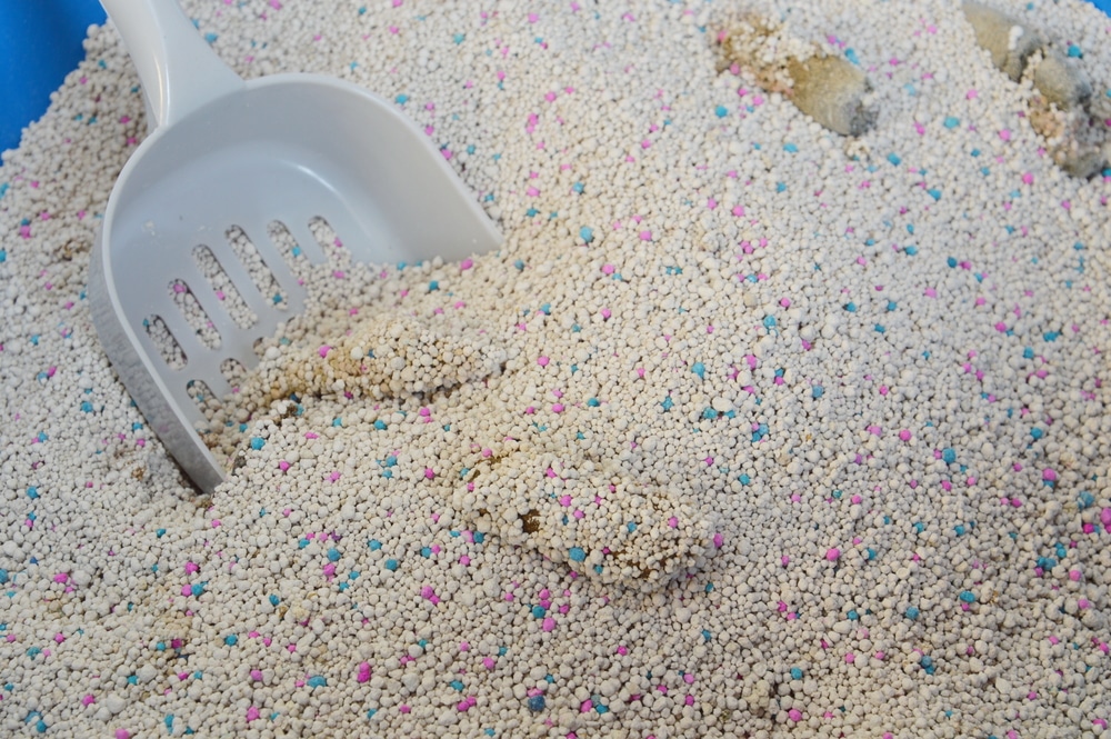 cat litter scoop