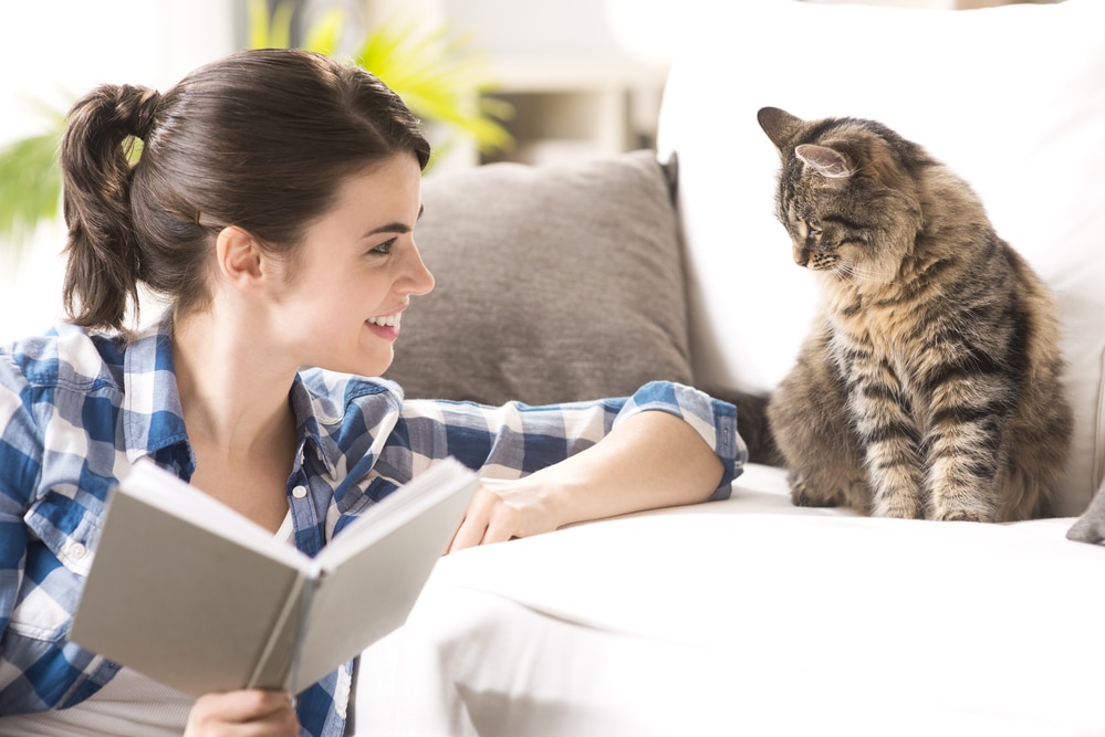 protecting furniture from cat pee