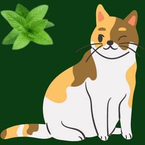 Can cats eat Peppermint Leaves