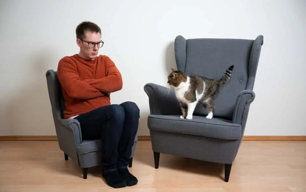 angry owner with cat