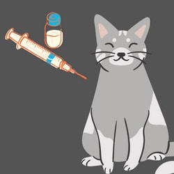 Methylprednisolone injection for cats