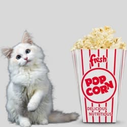 popcorn