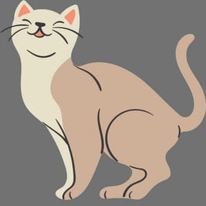 Back twitch in cats
