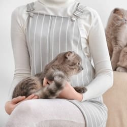 Why Do cats Knead And Lick you