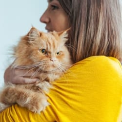 cute cat