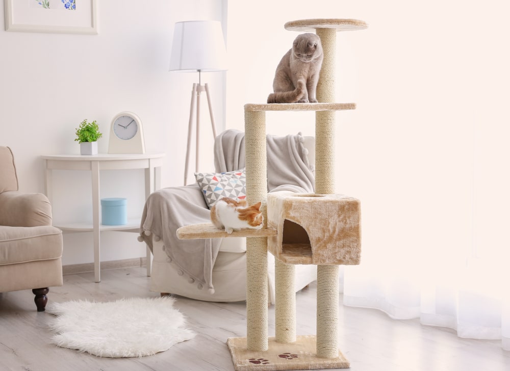 how safe are cat trees
