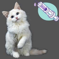 Depo-Medrol injection For cats
