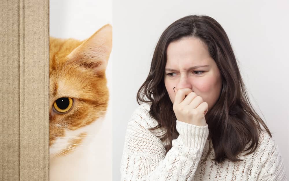cats foul smell