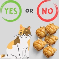 Can cats eat caramel popcorn
