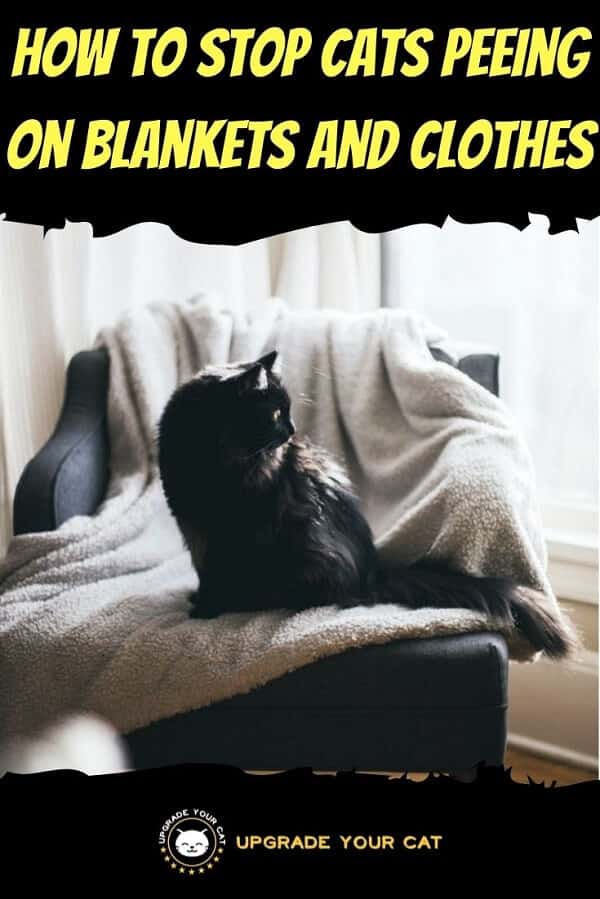 Cat Peeing on Blankets and Clothes
