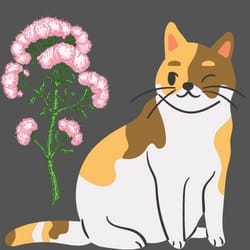 Valeriana Dosage for cats