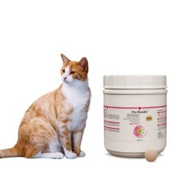 Pro Pectalin Tablet dosage for cats
