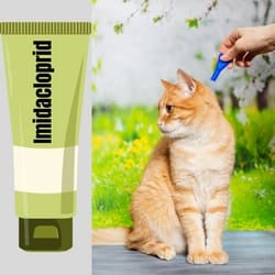 Imidacloprid for cats dosage