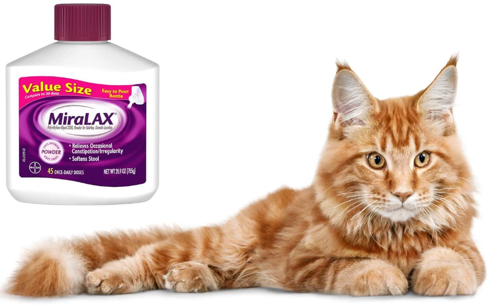 Miralax For Cats