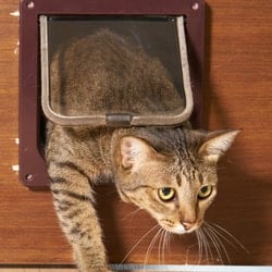 Use Cat Door screen