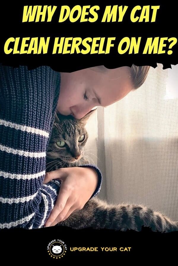 Why Does My Cat Clean Herself on Me