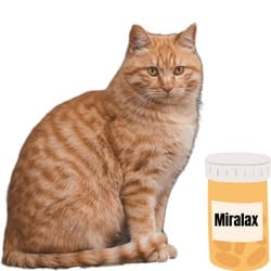 cat miralax