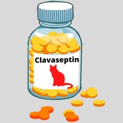 Clavaseptin for cats Dosage