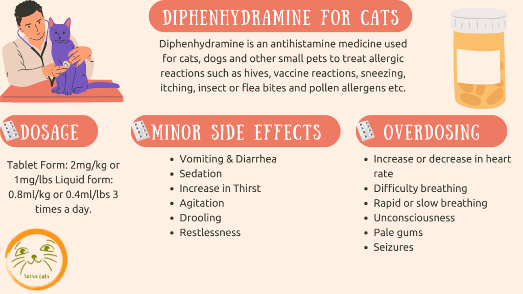 Diphenhydramine For Cats