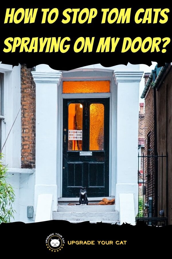 How to Stop Tom Cats Spraying on My Door