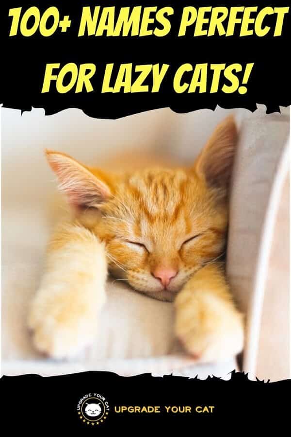 Lazy Cat Names