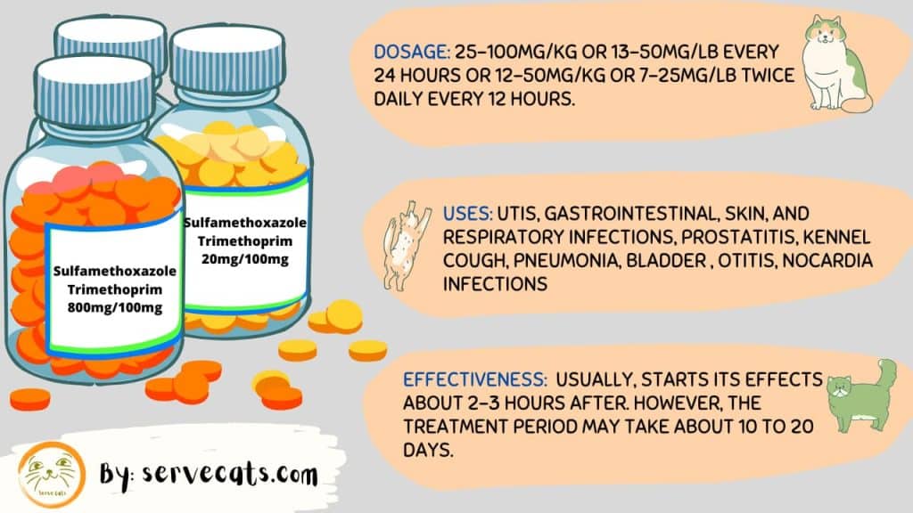 Sulfamethoxazole Trimethoprim For Cats