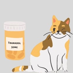 Tramadol for cats Dosage