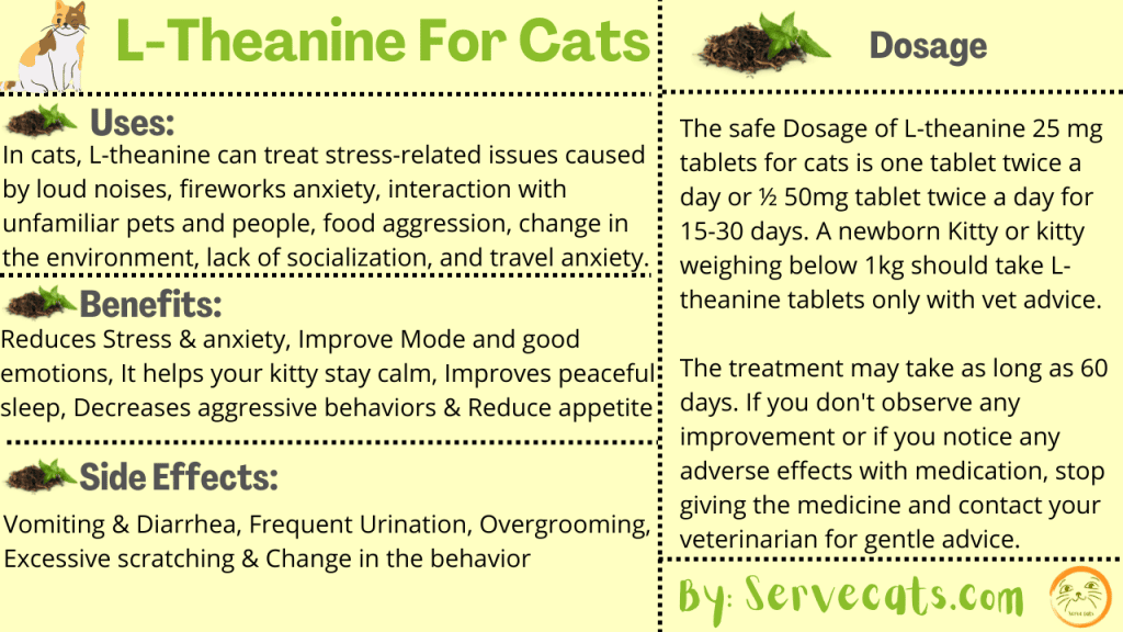 L-theanine for cats