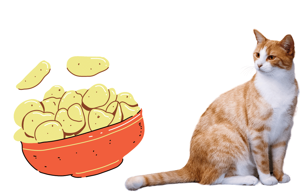 Can Cats eat Veggie Straws