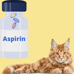 Aspirin Dosage for Cats