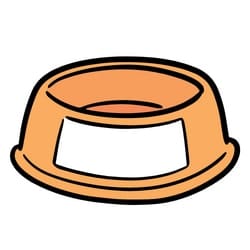 pet food bowl