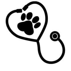 cat health