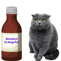 Benadryl liquid for cats