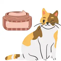 cat whipped cream