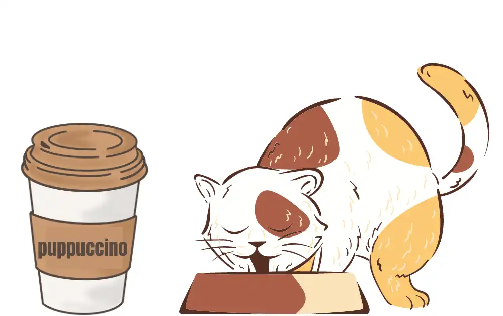 Can cats eat Puppuccinos