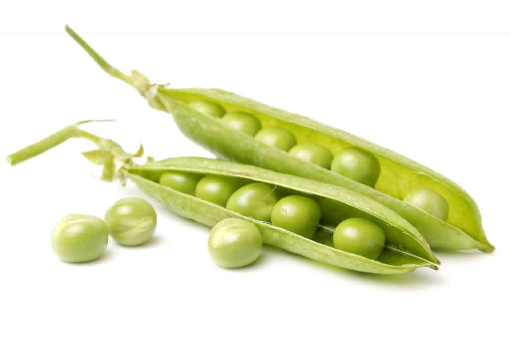 Snap peas for cat