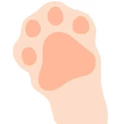 cat paw