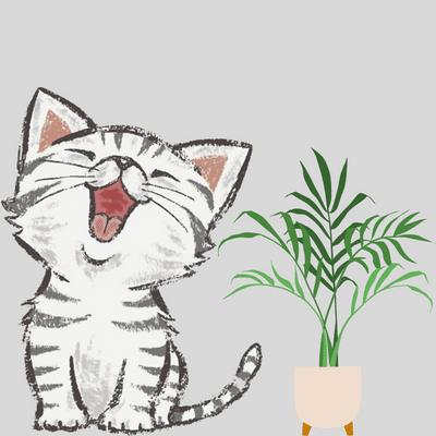 kitty and plant