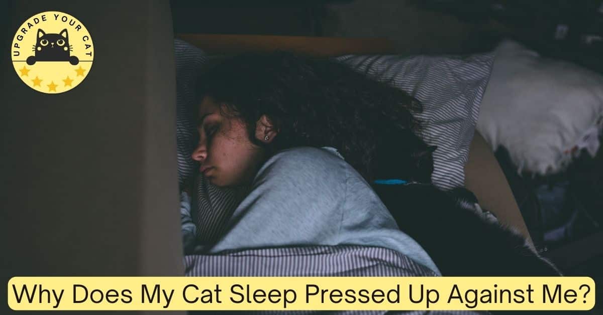 Cat sleeping pressed against woman