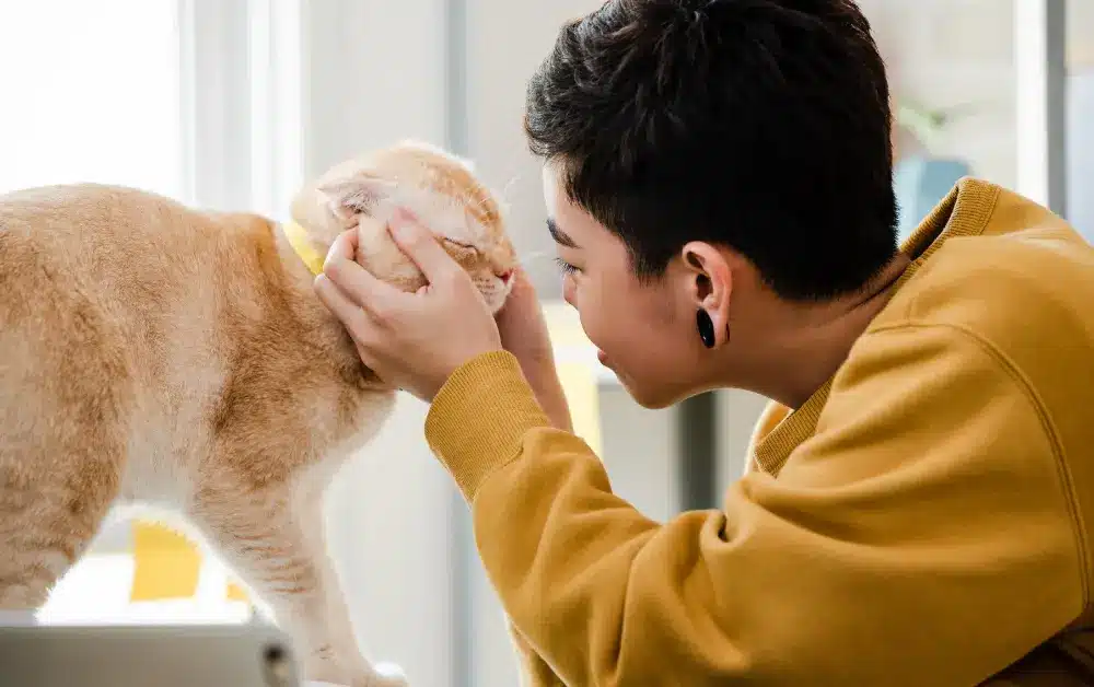 cat care