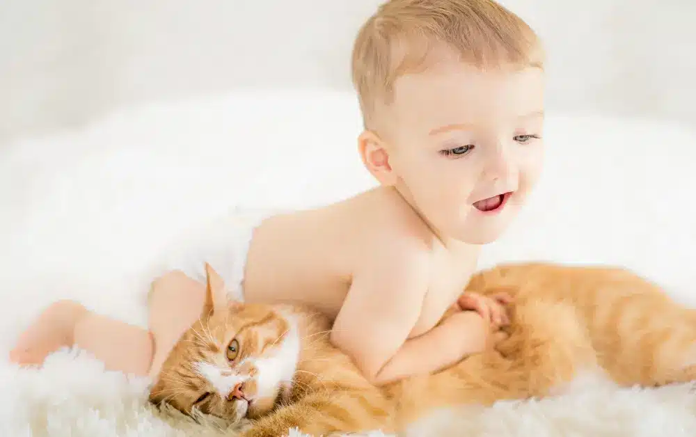 cat with infant
