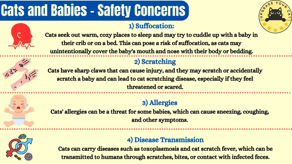 Cats and Babies - Safety Concerns