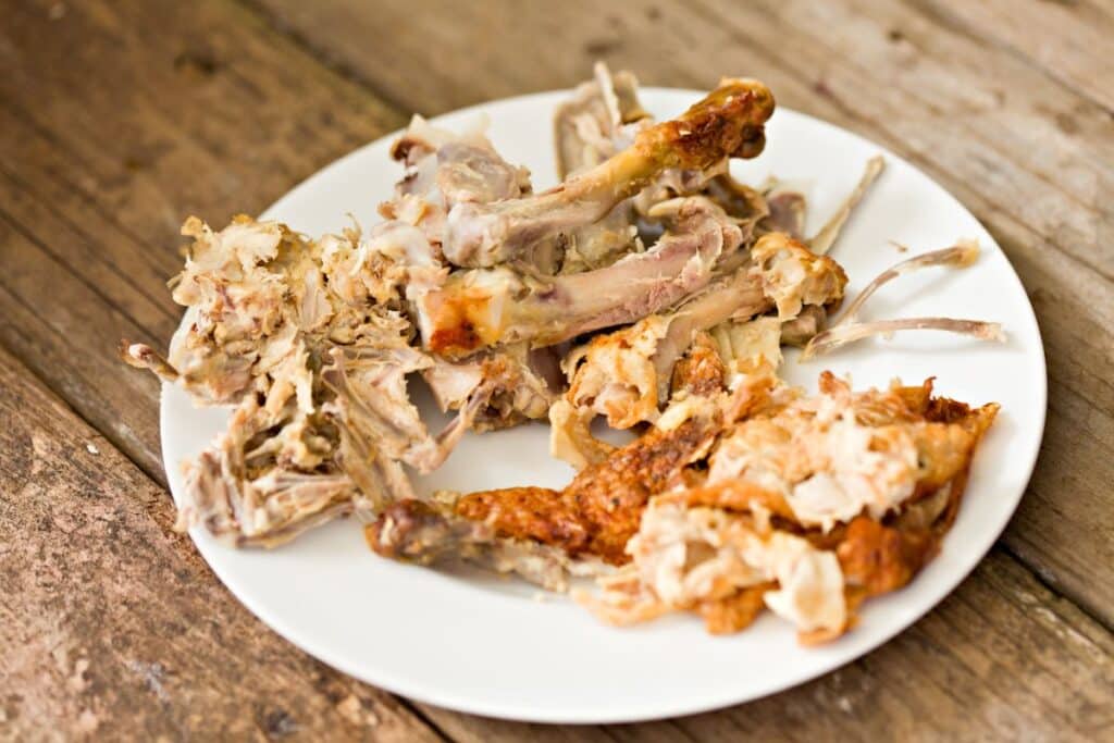 cooked chicken bones
