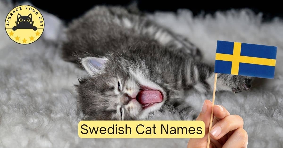 Swedish Cat Names